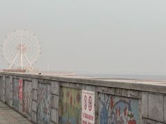 -奉贤海滩