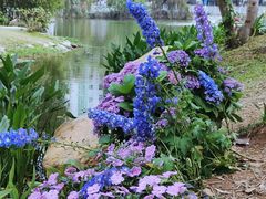 -人民公园(罗湖区)