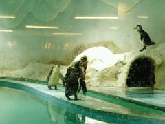 -北戴河圣蓝海洋公园