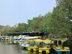 -南沙蒲洲花园