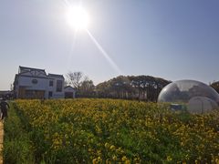 -MUSEO COFFEE咖啡博物馆