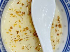 甜豆花-金多鱼大排档·烤鱼·烧烤·宵夜(江南水都店)