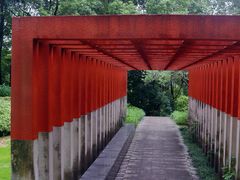 -重庆彩云湖湿地公园