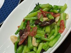 -郑州美盛喜来登大酒店