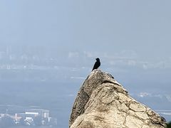 -北京凤凰岭