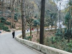 -黔灵山公园