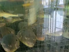 -蒋公馆家宴(江阴店)