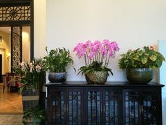 -沙龙酒家