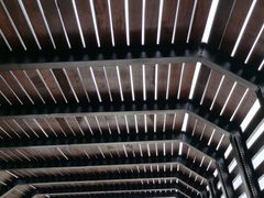 -昆山城市生态森林公园