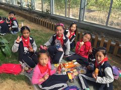 -上海长兴岛郊野公园