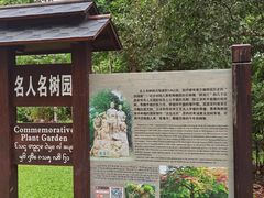 -中国科学院西双版纳热带植物园