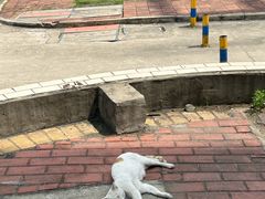 -海珠湖公园