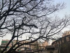 -石炮台公园