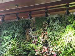 -泽云梵莲花足浴 按摩 SPA(滨湖店)