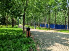 -东郊湿地公园