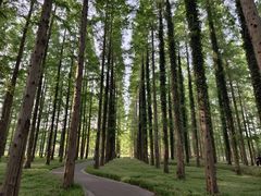 -黄海国家森林公园