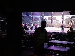 -斯卡拉演艺集团