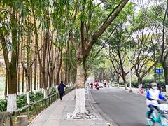 -升仙湖公园