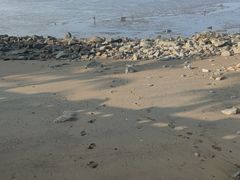 -珠海海泉湾度假区