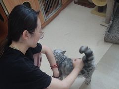 -瑞派雷欧宠物医院·24h夜诊·心脏骨科牙科·全科重症转诊中心(无影山店)