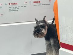 -良木缘咖啡西餐(优品道广场店)