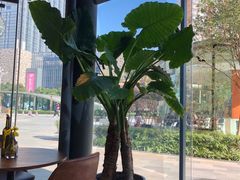 -Magnet磁食(同德店)