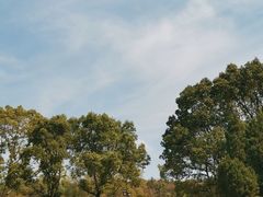 -青龙山国家森林公园