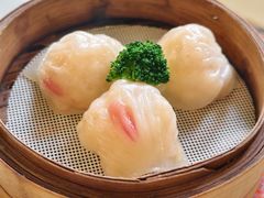-憶廟街 X 沙角邨(太古城店)