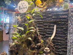 -巴犀烧烤(新崇光店)