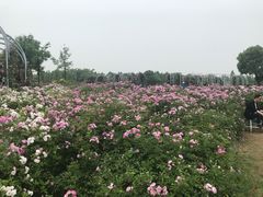 -尚贤河湿地