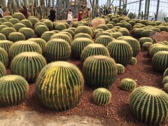 -南通洲际绿博园