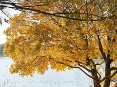 -长春市南湖公园