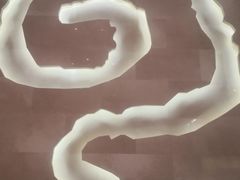 -【朵云轩艺术中心】博洛尼亚插画展·中国巡展·上海站