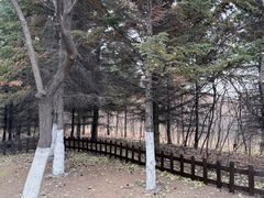 -长春世界雕塑园冰雪艺术天地