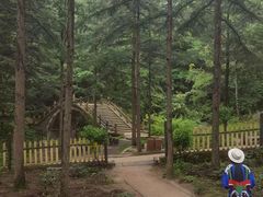 -洛阳白云山景区