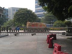 IMAG1027-陈李济中药博物馆