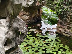 -无锡蠡湖国家湿地公园-蠡园