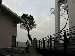 -YHA赛马会摩星岭青年旅舍(香港岛)