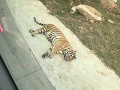 -西安秦岭野生动物园