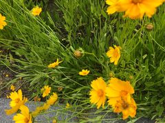 -白塘生态植物园