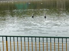 -水上乐园·欢乐世界