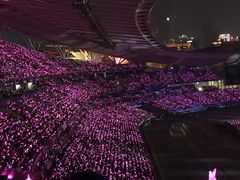 -南京奥林匹克体育中心-体育馆