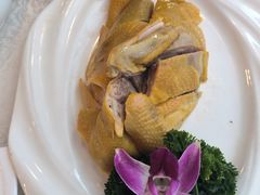 盐香鸡-潮福城大酒楼(二环东路店)