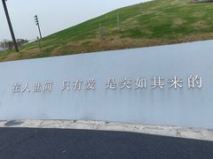 -荷兰花海
