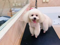 -美联众合动物医院·24h京西诊疗中心
