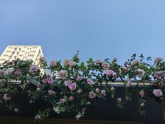 -上坐过桥米线(顺城店)