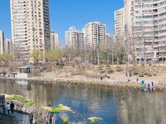 -莲花池公园