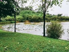 -华南师范大学(广州大学城校区)