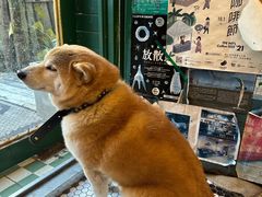 -大水的店(昙华林店)