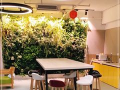 -引领英语·成人口语·雅思托福
